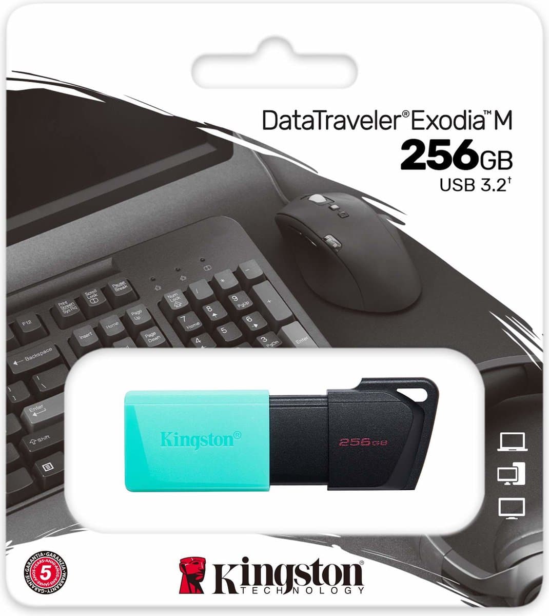 Pendrive 256 Gb Kingston DataTraveler Exodia (DTXM/256GB) USB 3.2