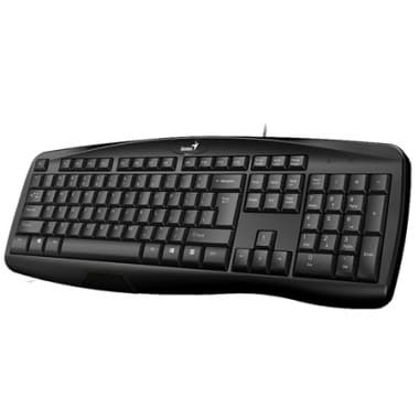 Teclado Genius KB 100 usb SMART